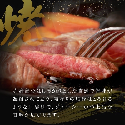 【産地直送】宮崎県産 宮崎牛 ロース ミニステーキ セット 8枚程度