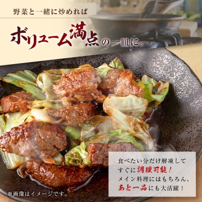 宮崎県産ポーク 牧場直営お肉屋さんの濃厚コク味噌漬け 100g×10枚 セット 焼くだけ 国産 豚肉