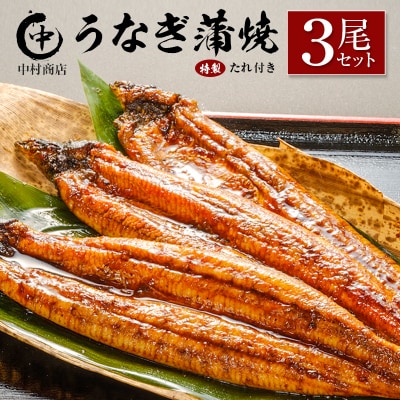 中村商店 うなぎ蒲焼3尾セット 計543g以上