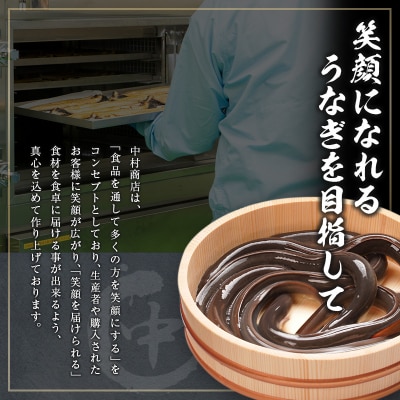 中村商店 うなぎ蒲焼3尾セット 計543g以上