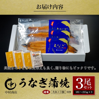 中村商店 うなぎ蒲焼3尾セット 計543g以上