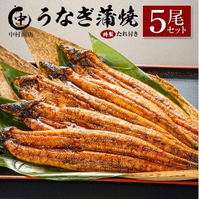中村商店 うなぎ蒲焼5尾セット 計905g以上