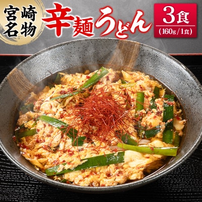 辛麺うどん 3食分 (160g×3食) 半生 インスタント 常温保存 一心うどん 
