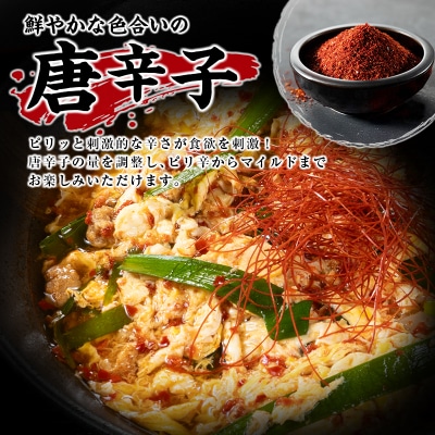 辛麺うどん 3食分 (160g×3食) 半生 インスタント 常温保存 一心うどん 