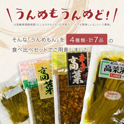 「霧島連山」天然水仕込みの高菜漬け 4種 食べ比べ セット 宮崎県産