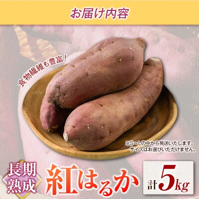 長期熟成 紅はるか 計5kg 宮崎県都城市産 さつまいも サツマイモ