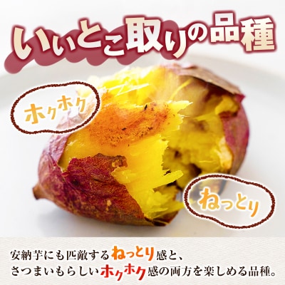 <定期便>3回お届け!長期熟成 紅はるか 計3kg(1kg×3回)宮崎県都城市産 さつまいも サツマ