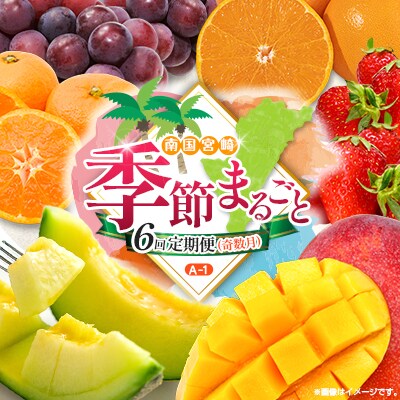 【奇数月6回定期便】南国宮崎産人気フルーツ詰め合わせ(A-1コースM110)