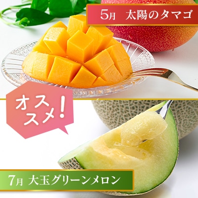 【奇数月6回定期便】南国宮崎産人気フルーツ詰め合わせ(A-1コースM110)