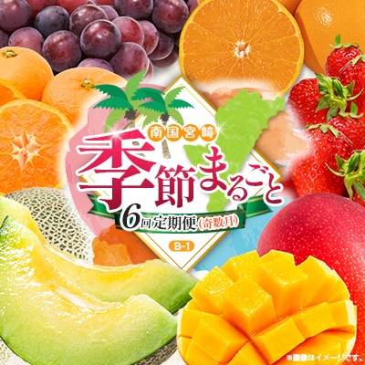 【奇数月6回定期便】南国宮崎産人気フルーツ詰め合わせ(B-1コース M210)