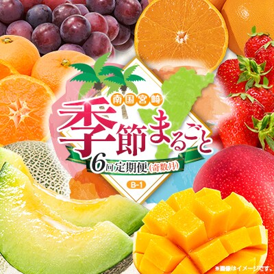 【奇数月6回定期便】南国宮崎産人気フルーツ詰め合わせ(B-1コース M210)