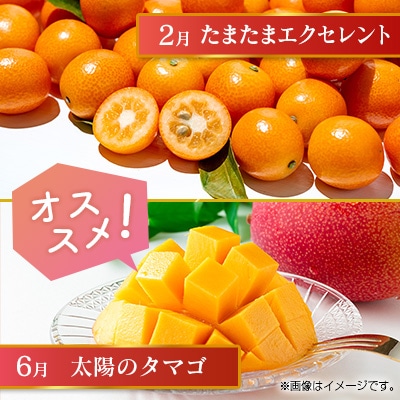 【奇数月6回定期便】南国宮崎産人気フルーツ詰め合わせ(B-1コース M210)