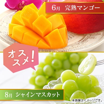 【偶数月6回定期便】南国宮崎産人気フルーツ詰め合わせ(B-2コース M220)