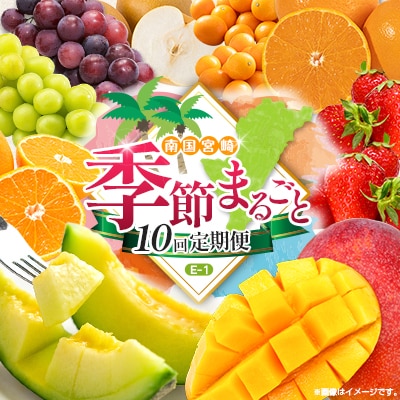 【10回定期便】南国宮崎産人気フルーツ詰め合わせ(E-1コース M500)