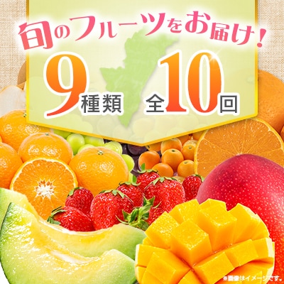 【10回定期便】南国宮崎産人気フルーツ詰め合わせ(E-2コース M600)