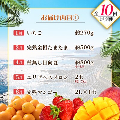 【10回定期便】南国宮崎産人気フルーツ詰め合わせ(E-3コース M700)