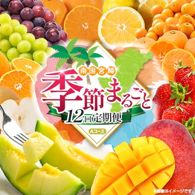 【12回定期便】南国宮崎産人気フルーツ詰め合わせ(Aコース M100)