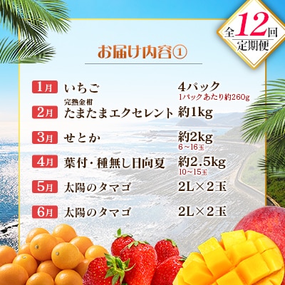 【12回定期便】南国宮崎産人気フルーツ詰め合わせ(Aコース M100)