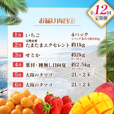 【12回定期便】南国宮崎産人気フルーツ詰め合わせ(Aコース M100)