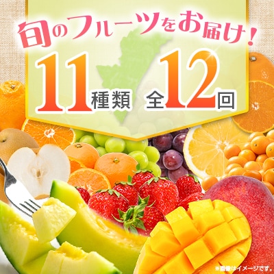 【12回定期便】南国宮崎産人気フルーツ詰め合わせ(Aコース M100)