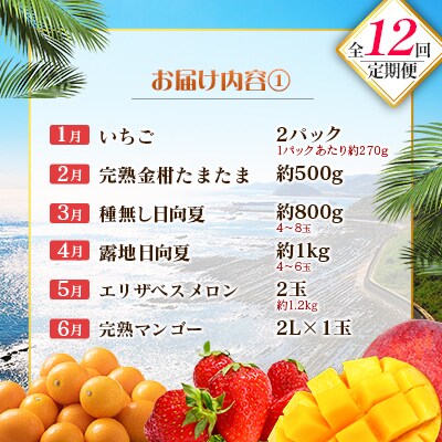 【12回定期便】南国宮崎産人気フルーツ詰め合わせ(Cコース M300)