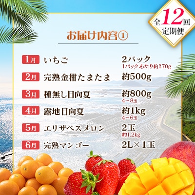 【12回定期便】南国宮崎産人気フルーツ詰め合わせ(Cコース M300)