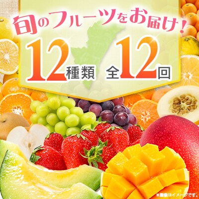 【12回定期便】南国宮崎産人気フルーツ詰め合わせ(Cコース M300)