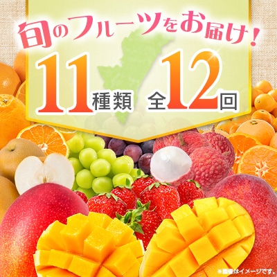 【12回定期便】南国宮崎産人気フルーツ詰め合わせ(Dコース M400)