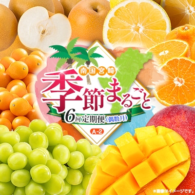 【偶数月6回定期便】南国宮崎産人気フルーツ詰め合わせ(A-2コース M120)