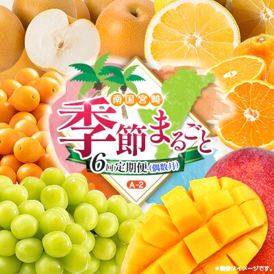 【偶数月6回定期便】南国宮崎産人気フルーツ詰め合わせ(A-2コース M120)