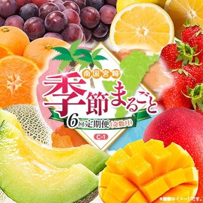 【奇数月6回定期便】南国宮崎産人気フルーツ詰め合わせ(C-1コース M310)