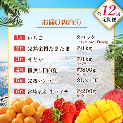 【12回定期便】南国宮崎産人気フルーツ詰め合わせ(Bコース M200)