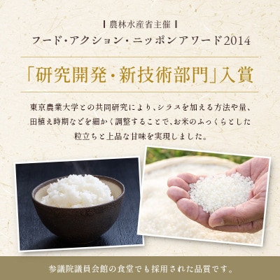 宮崎県の大自然が育んだお米【マグマシラス米】10kg 精米 宮崎県産 九州 国産