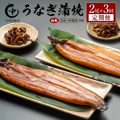 <定期便>2尾×全3回 国産 うなぎ 蒲焼 有頭 計1kg以上(1回あたり 計362g以上) 肝焼き
