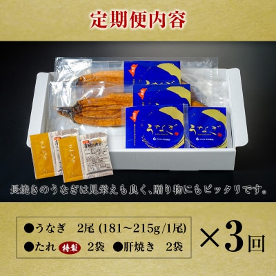 <定期便>2尾×全3回 国産 うなぎ 蒲焼 有頭 計1kg以上(1回あたり 計362g以上) 肝焼き