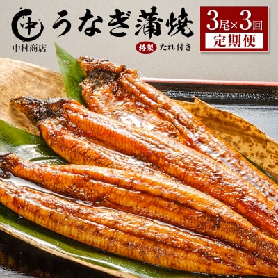 <定期便>3尾×全3回 国産 うなぎ 蒲焼 有頭 計1.6kg以上(1回あたり 計543g以上) た