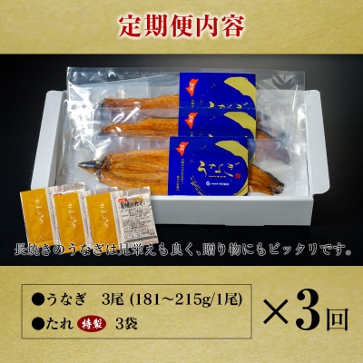 <定期便>3尾×全3回 国産 うなぎ 蒲焼 有頭 計1.6kg以上(1回あたり 計543g以上) た