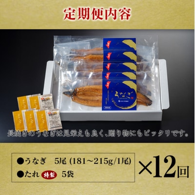 <定期便>2尾×全3回 国産 うなぎ 白焼 有頭 計1kg以上(1回あたり 計362g以上) 肝焼き