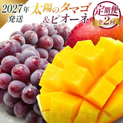 <2027年発送> フルーツ 定期便 太陽のタマゴ ピオーネ 完熟 マンゴー ぶどう 先行予約 初夏
