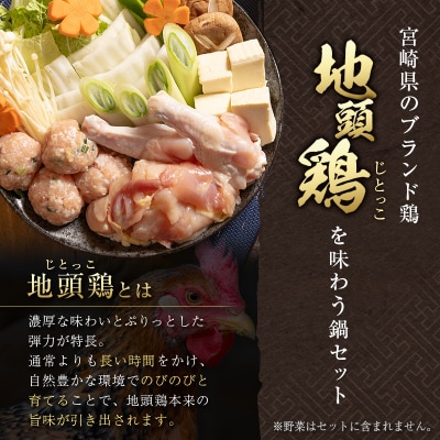 みやざき地頭鶏(じとっこ)鍋セット(4～5人前)具入り 鶏鍋 鶏だし スープ付き 冷凍 鶏肉 宮崎県