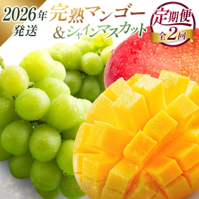 <2026年発送> フルーツ 定期便 完熟マンゴー シャインマスカット ぶどう 先行予約 初夏 秋 
