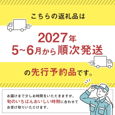 <2027年発送> フルーツ 定期便 完熟マンゴー シャインマスカット ぶどう 先行予約 初夏 秋 