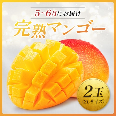 <2026年発送> フルーツ 定期便 完熟マンゴー シャインマスカット ぶどう 先行予約 初夏 秋 