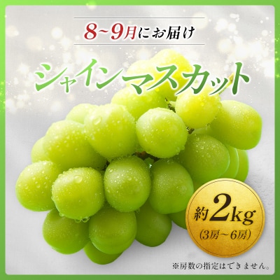 <2026年発送> フルーツ 定期便 完熟マンゴー シャインマスカット ぶどう 先行予約 初夏 秋 