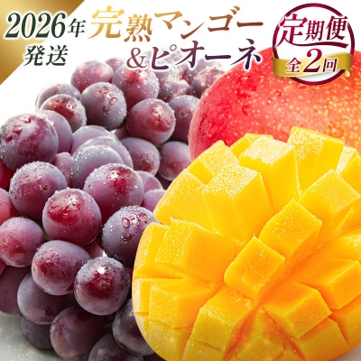 <2026年発送> フルーツ 定期便 完熟マンゴー ピオーネ ぶどう 先行予約 初夏 秋 旬 果物 