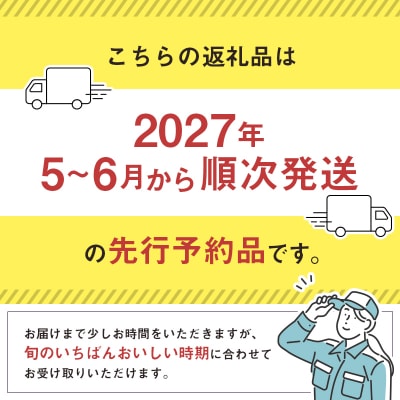 <2027年発送> フルーツ 定期便 完熟マンゴー ピオーネ ぶどう 先行予約 初夏 秋 旬 果物 