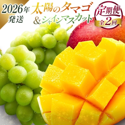 <2026年発送> フルーツ 定期便 太陽のタマゴ シャインマスカット 完熟 マンゴー ぶどう 先行