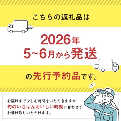 <2026年発送> フルーツ 定期便 太陽のタマゴ シャインマスカット 完熟 マンゴー ぶどう 先行