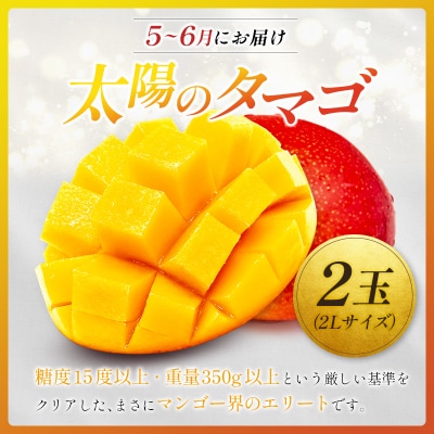 <2026年発送> フルーツ 定期便 太陽のタマゴ シャインマスカット 完熟 マンゴー ぶどう 先行