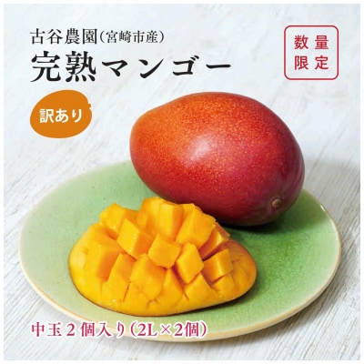 訳あり 古谷農園 宮崎完熟マンゴー B級品 2L×2個 ご家庭用 旬 トロピカル フルーツ 果物